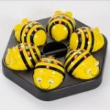   (Bee-Bot):   6 