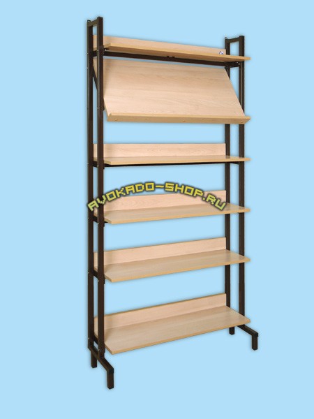 Шкаф-стеллаж комбинированный  для учебных пособий для библиотек школы
